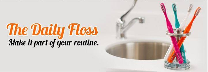 The Daily Floss logo with manual toothbrushes in cup